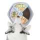 M-PETS Level Up Non-Slip Slow Feeder Bowl