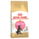 Royal Canin Maine Coon Kitten Dry Food