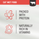 Kiwi Kitchens Beef Wet Cat Food