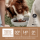 Ivory Coat Grain Free Sensitive Salmon & Ocean Fish Adult Dry Dog Food