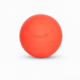 Company of Animals Coachi Boomi Ball Dog Toy