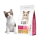 Catit Recipes Double Fusion Kitten Chicken Dry Cat Food