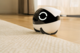 Enabot Rola Mini Cat and Dog Robot with Camera 