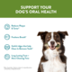 Whimzees Variety Dental Pack Dog Treats