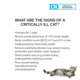 PRO PLAN Veterinary Diet Canine & Feline CN Critical Nutrition Wet Cat & Dog Food