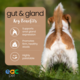 EAC Animal Care Gut & Gland Anal Gland Expression Support for Dogs