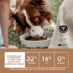 Ivory Coat Grain Free Puppy Chicken Dry Dog Food