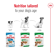 Royal Canin Mini Ageing Chunks In Gravy Pouch Wet Dog Food