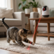 Aclium Spinning Tumbling Laser Cat Toy