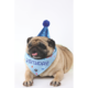 M-PETS Party Time Gentleman Birthday Party Pack For Dogs