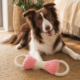 M-PETS Terra Tuga Tug Dog Toy