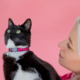 Rogz Fashioncat Safety Release Cat Collar 