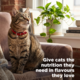 Hill's Science Diet Adult Salmon in Gravy Fish Wet Cat Food