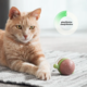 Cheerble Wicked Snail Smart Cat Toy