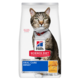 Hill's Science Diet Adult Oral Care Chicken Dry Cat Food