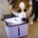 Aclium Dog Water Fountain
