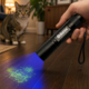 Odorex Cat and Dog Urine Stain Detector