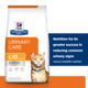 Hill's Prescription Diet c/d Multicare Urinary Care Chicken Dry Cat Food