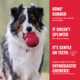 KONG Goodie Bone Classic Dog Toy