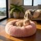 Brooklands Calming Cat and Dog Bed
