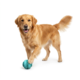 Pup & Purr Interactive Treat Ball Dog Toy