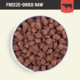 Kiwi Kitchens Beef Freeze Dried Dog Food