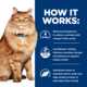 Hill's Prescription Diet k/d j/d Kidney + Mobility Dry Cat Food