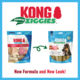 KONG Ziggies Enhanced Puppy Dog Treat