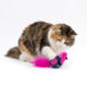 JOYSER Interactive Bird Cat Toy