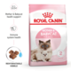Royal Canin Mother & Babycat Dry Cat Food Trial Bag