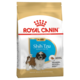 Royal Canin Shih Tzu Puppy Dry Food