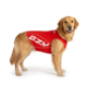 EzyDog Dog Rashie 50+ UV