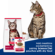 Hill's Science Diet Adult Salmon in Gravy Fish Wet Cat Food