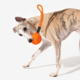 Cheerble Wicked Ball Air Rope Smart Dog Toy