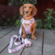 Pointer & Hound Signature Dog Harness