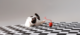 Cheerble Wicked Ball Duo 2 Smart Cat Toy