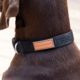 Pointer & Hound Signature Dog Collar