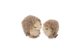 P.L.A.Y. Feline Frenzy Mama & Chip Hedgehog  Cat Toy 