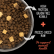 Nutrience SubZero Limited Ingredient Turkey & Pumpkin Dry Cat Food