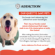 Addiction MEGA Grain-Free Adult Large Breed Beef & Lamb Dry Dog Food
