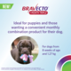 Bravecto 1 Month Triple Flea & Worm Treatment for Dogs