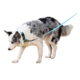 M-PETS Gentle Dog Leash