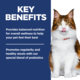 Hill's Science Diet Adult Perfect Digestion Chicken Dry Cat Food