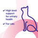Protexin Veterinary Cystophan Daily Supplement Capsules for Cats