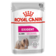 Royal Canin Exigent Loaf Adult Wet Dog Food