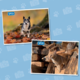 SPCA 2027 Charity Calendar
