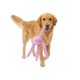 Coco & Cooper Ollie The Octopus Large Dog Plush Toy