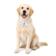 M-PETS Cooling Dog Scarf