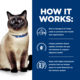 Hill's Prescription Diet z/d Food Sensitivities Dry Cat Food