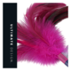JOYSER Feather Teaser Cat Wand